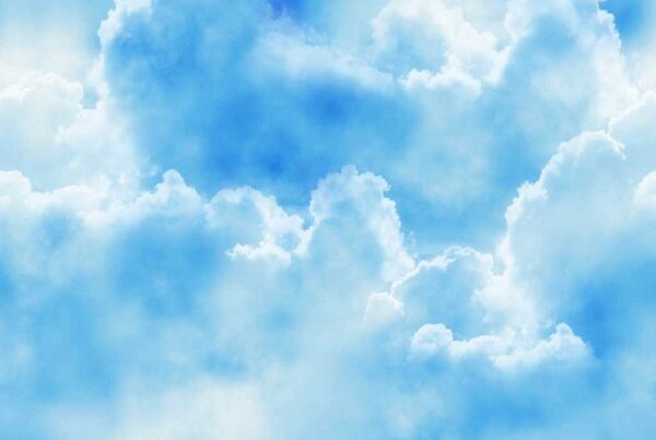 Banner 426