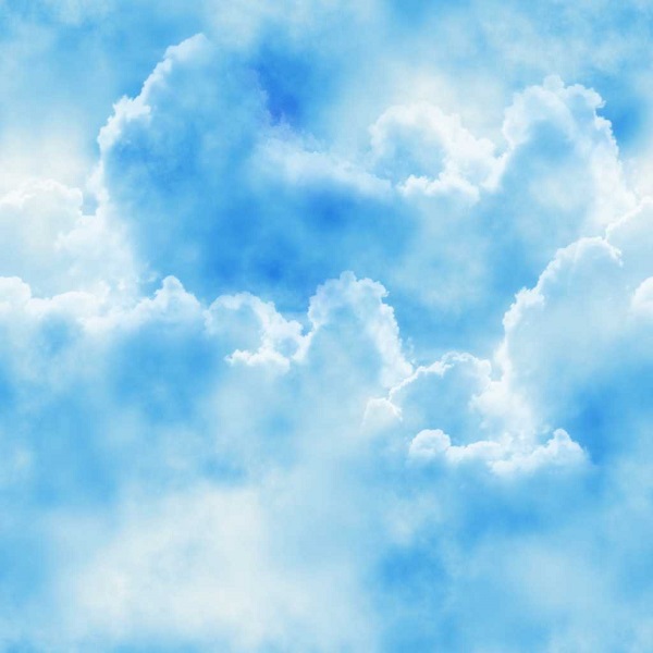 Banner 426